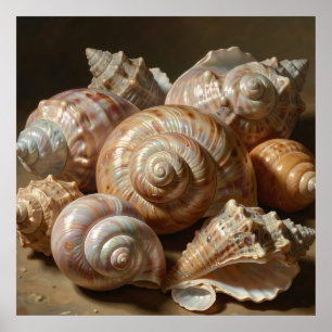 Poster Composition de coquillages iridescents