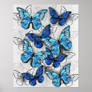 Poster Composition des White and Blue Butterflies