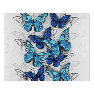 Poster Composition des White and Blue Butterflies