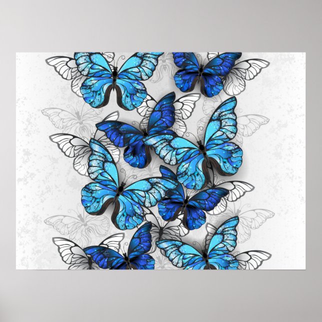 Poster Composition des White and Blue Butterflies (Devant)