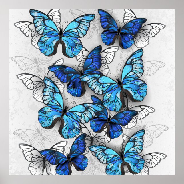 Poster Composition des White and Blue Butterflies (Devant)