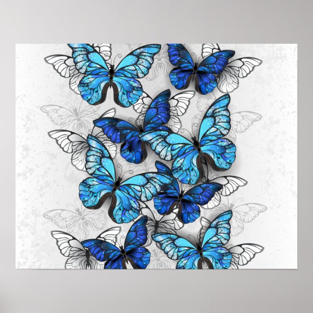 Poster Composition des White and Blue Butterflies (Devant)