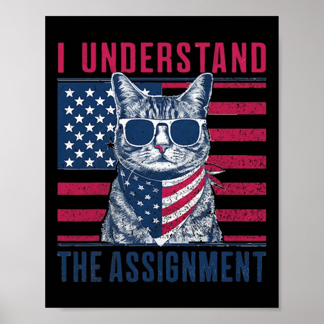 Poster Comprendre L'Ignment Kamala Harris Chat Sans Enfan (Devant)