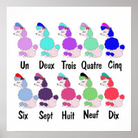 Compter le caniche français