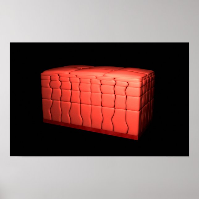 Poster Concept De Stratifié Squamous Epithelium 1 (Devant)