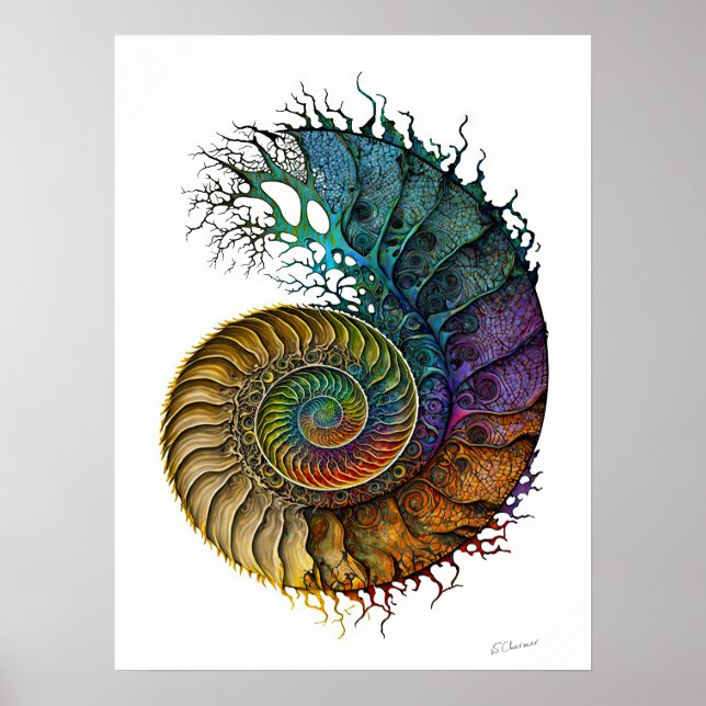 Poster Concept Fossil Ammonite dans des couleurs d'encre  (Devant)