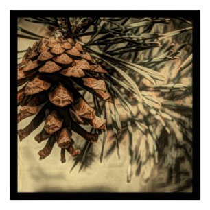 Poster Conception de cône de pin rustique