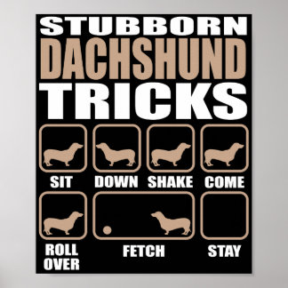 Poster Conception de Dachshund Stubborn