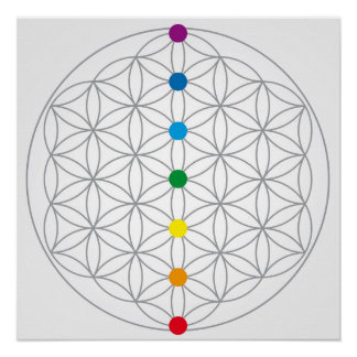 Poster Conception de Fleur de Vie et 7 Chakras Couleurs d