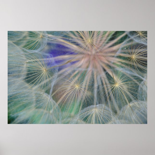Poster Conception de tête de graine | Gennesse, Idaho (Devant)