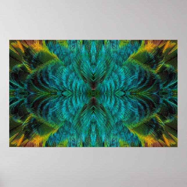 Poster Conception des plumes Kaleidoscope (Devant)