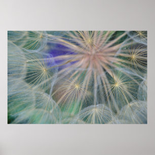 Poster Conception des têtes de semences   Gennesse, Idaho