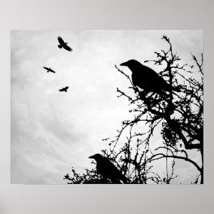 Poster Conception du corbeau de corneille 43