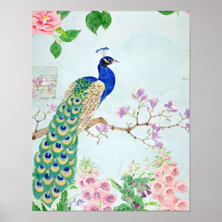 Poster Conception Peacock | Amateurs de paon mignon | Clo