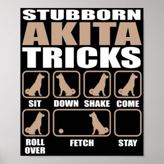 Poster Conception Stubborn Akita Tricks