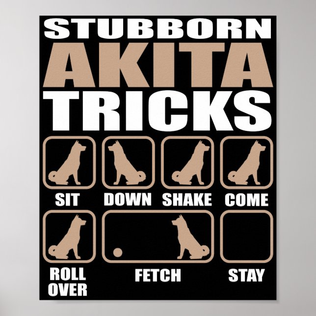 Poster Conception Stubborn Akita Tricks (Devant)