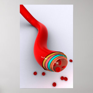 Poster Conceptual Image Of A Blood Vessel