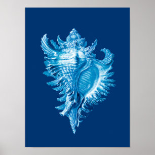 Poster Conch Shell Sea Life Imprimer, Indigo bleu et blan