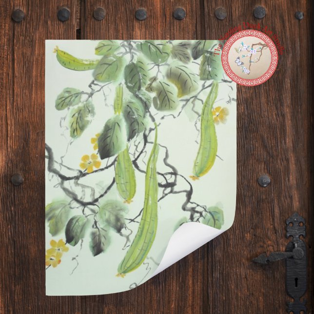 Poster Concombre Chinois (Créateur téléchargé)