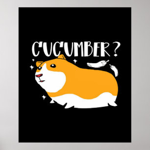 Poster Concombre de porc de Guinée   Cochon de Guinée mig
