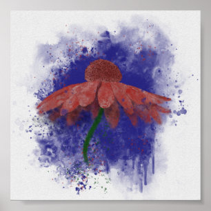 Poster Coneflower