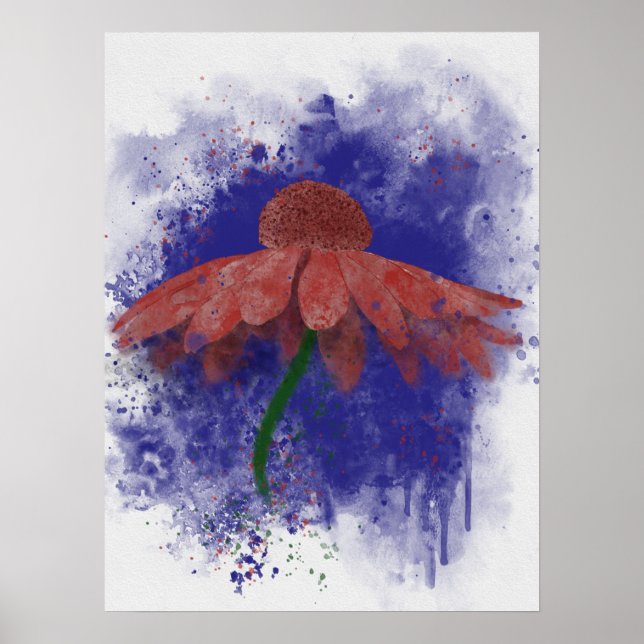 Poster Coneflower (Devant)