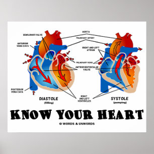 Poster Connaissez votre coeur (Diastole Systole)