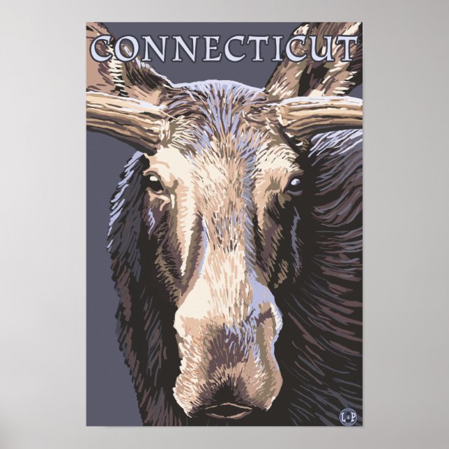 Poster ConnecticutMoose - Fermer (Devant)