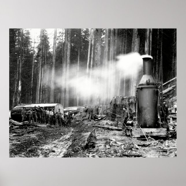 Poster CONNEXION avec DON À VAPEUR c. 1879 (Devant)