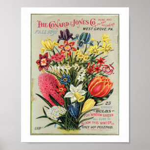 Poster Conrad & Jones 1897 Producteurs Roses et Plantes