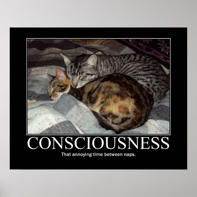 Poster Conscience...Ce temps agaçant artisanat (Devant)