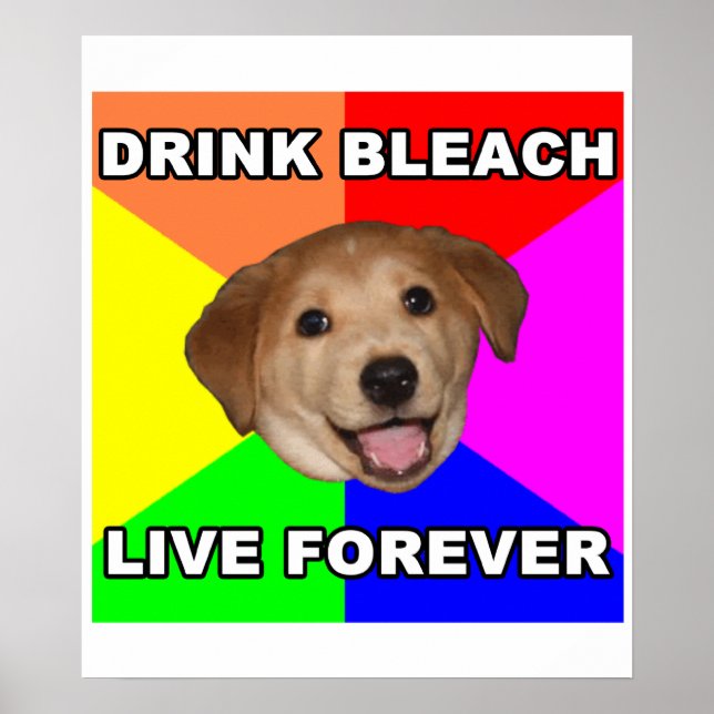 Poster Conseil Chien (Devant)