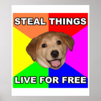 Conseils Chien Voler des choses, Vivre gratuitemen