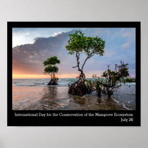 Poster Conservation de la mangrove, photo
