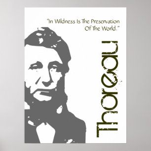 Poster Conservation Thoreau De L'Affiche Mondiale