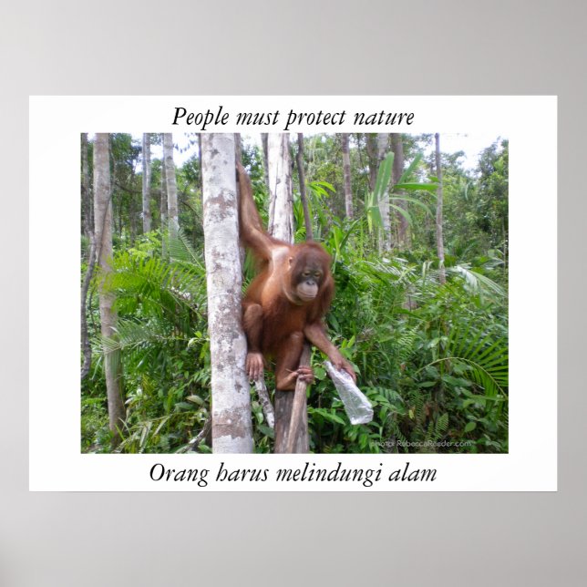 Poster Conserver la faune de la nature (Devant)