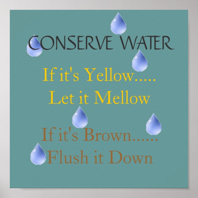 Poster Conserver l'eau (Devant)