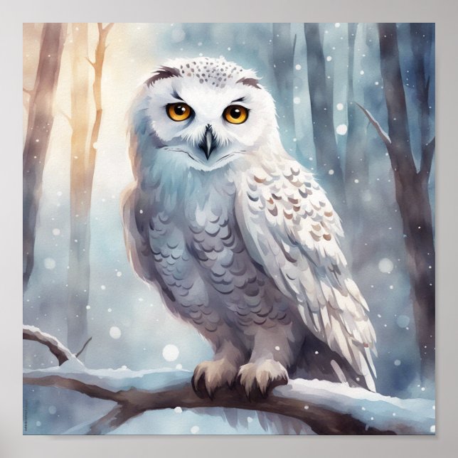 Poster Conserver ou concevoir votre propre (Devant)