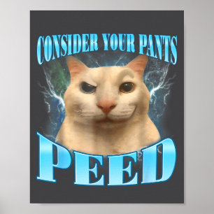 Poster Considérez que votre pantalon a fait pipi drôle de