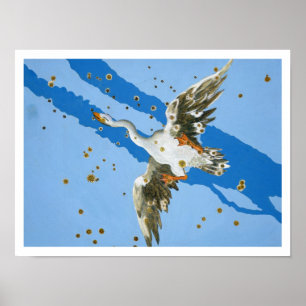 Poster Constellation de Cygnus, de 'Uranometria' écrit