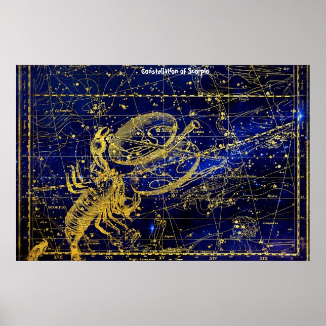 Poster Constellation du Scorpion (Devant)