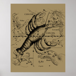 Poster Constellation du zodiaque Cancer par Hevelius 1690