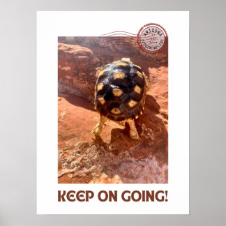 Poster Continuez à faire l'agitation Baby Sulcata randonn