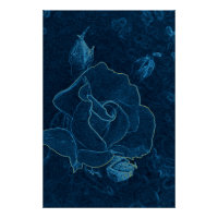 contour de rose bleue
