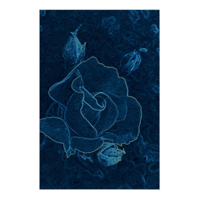 Poster contour de rose bleue (Devant)