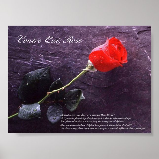 Poster Contre Qui, Rose (Devant)