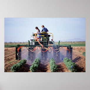 Poster Contrôle blanc