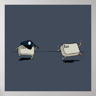 Poster Contrôle/évasion