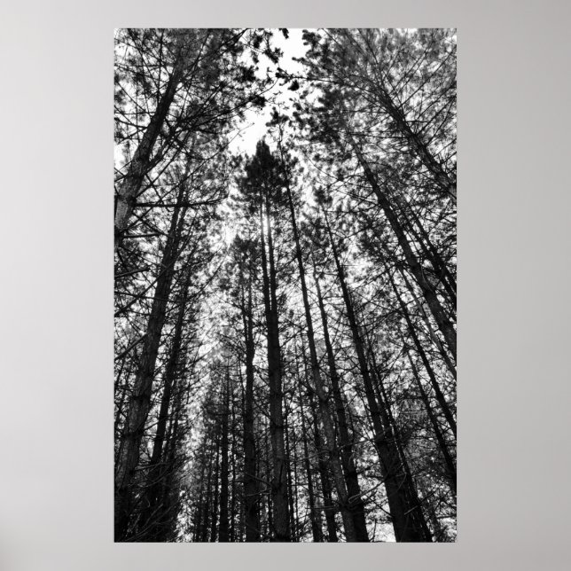 Poster Convergence des esprits (Devant)