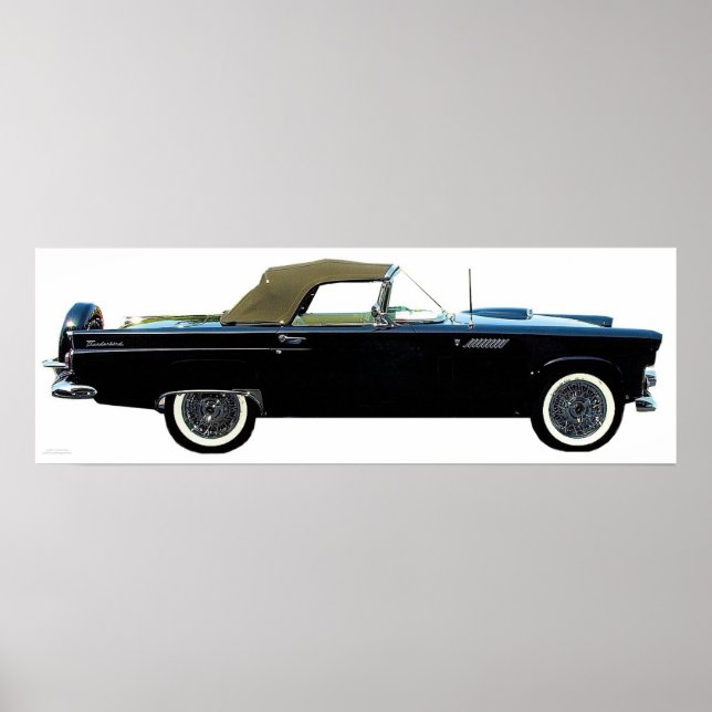 POSTER CONVERTIBLE D'OISEAU T 1956 (Devant)